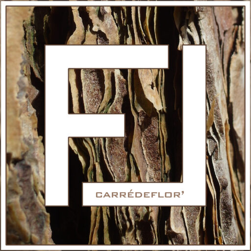 CARREDEFLOR'