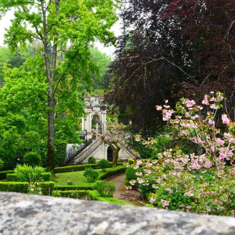 Jardin botanique de Coimbra