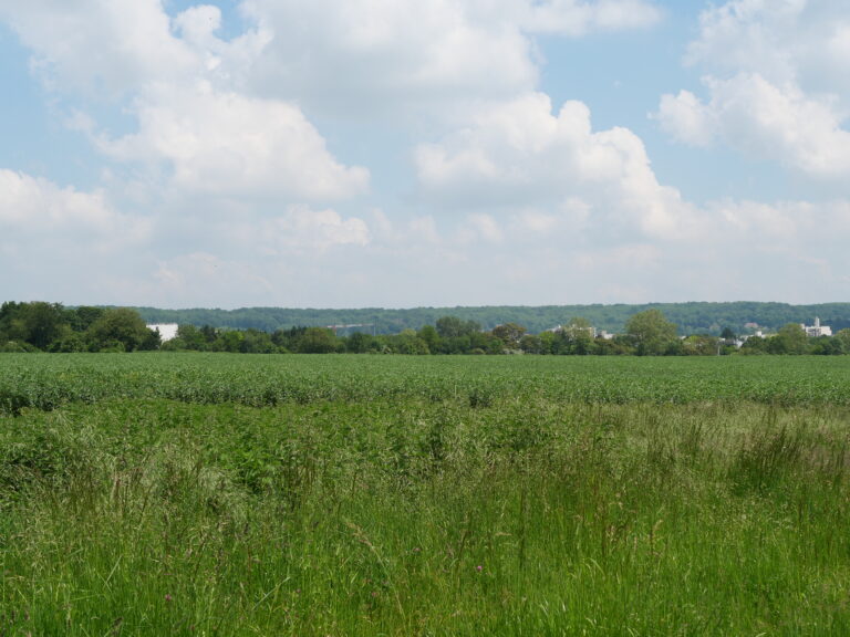 Plessis-Bouchard