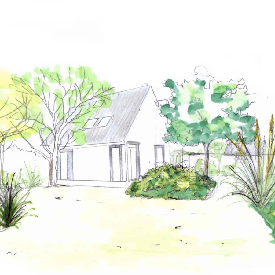 Croquis projet de jardin
